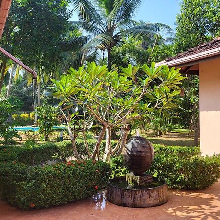 King Coconut Lodge Habaraduwa Central Eksteriør bilde
