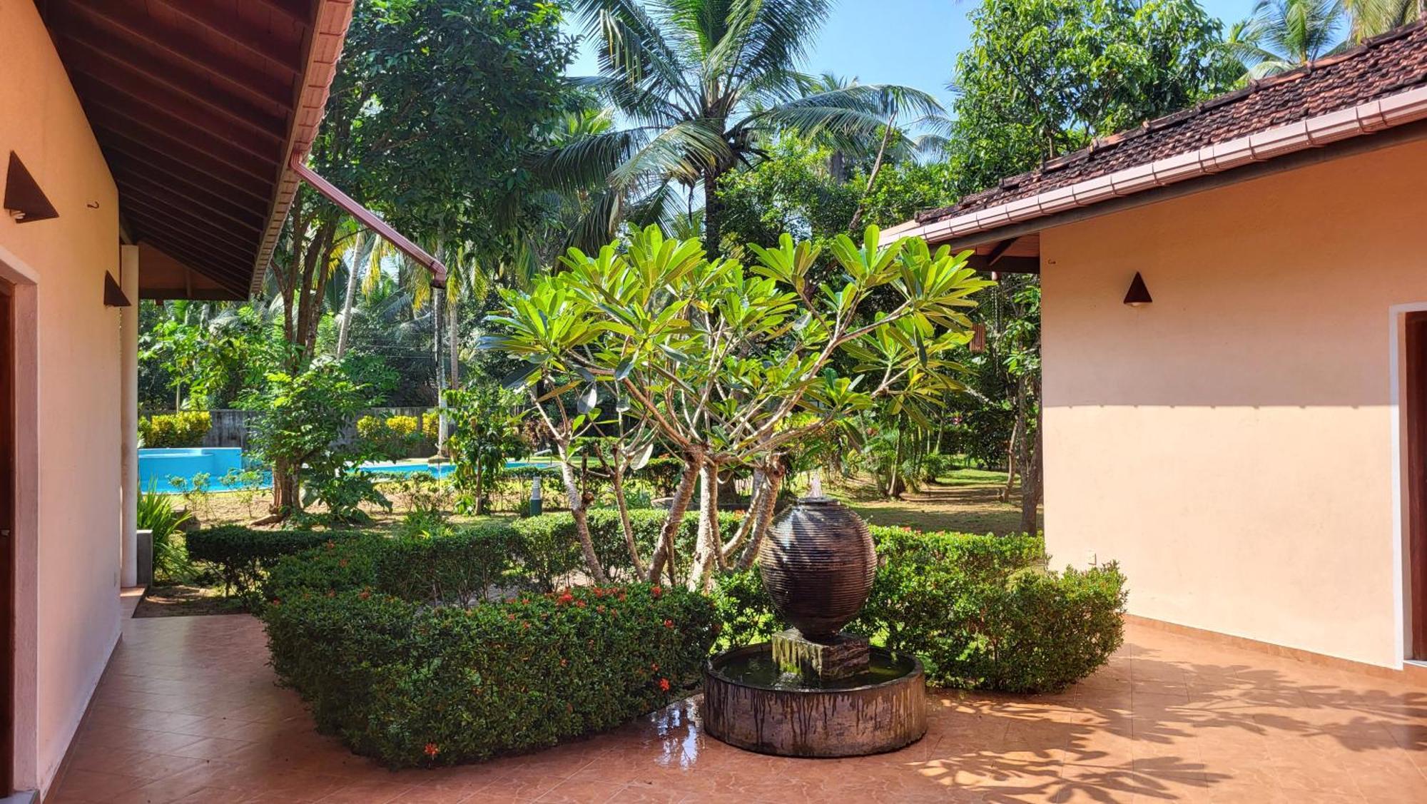 King Coconut Lodge Habaraduwa Central Eksteriør bilde