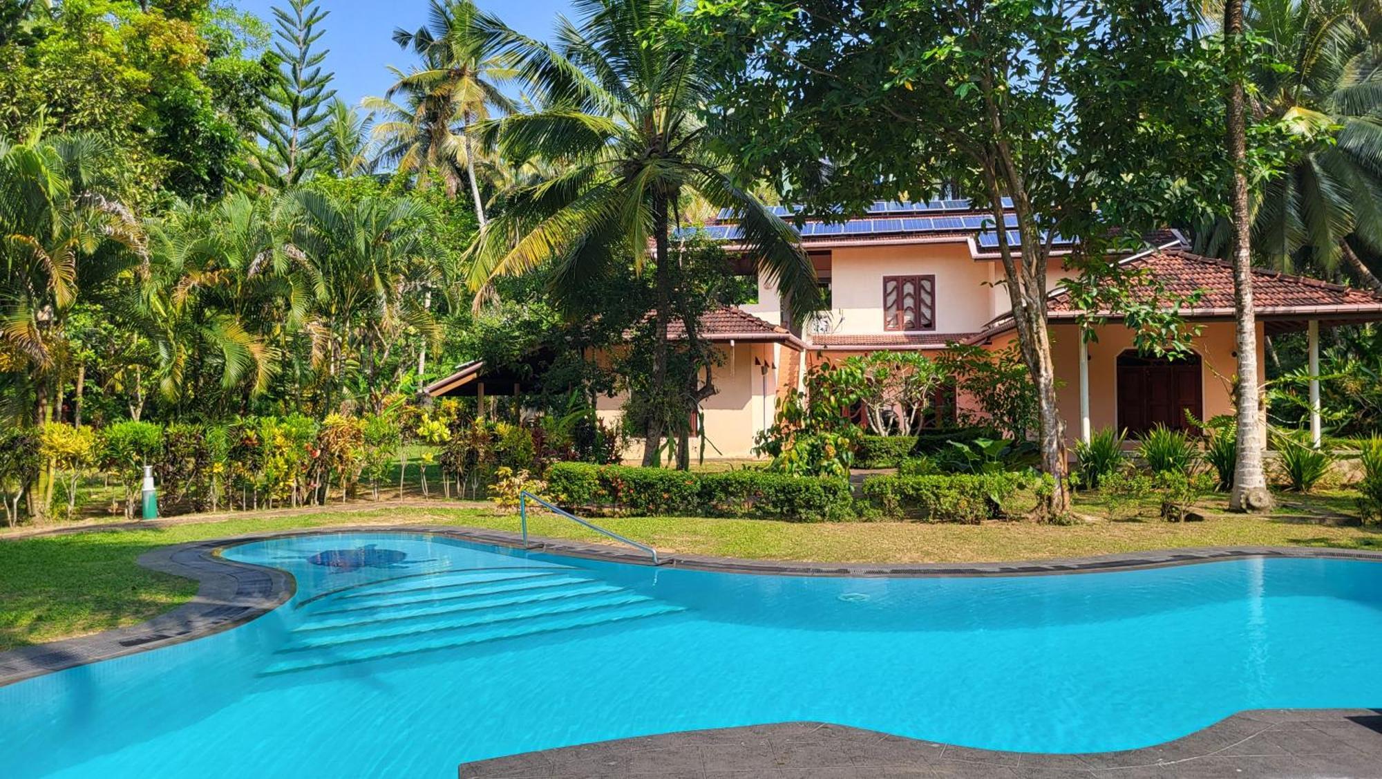 King Coconut Lodge Habaraduwa Central Eksteriør bilde