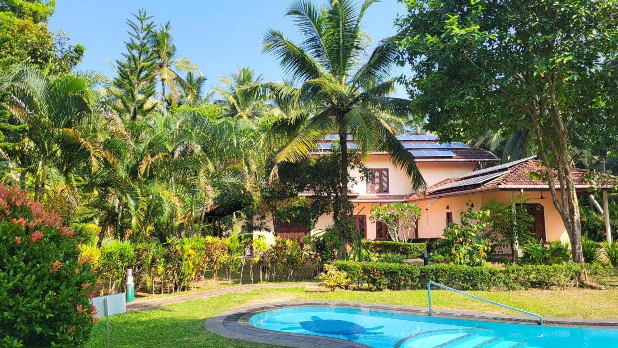 King Coconut Lodge Habaraduwa Central Eksteriør bilde