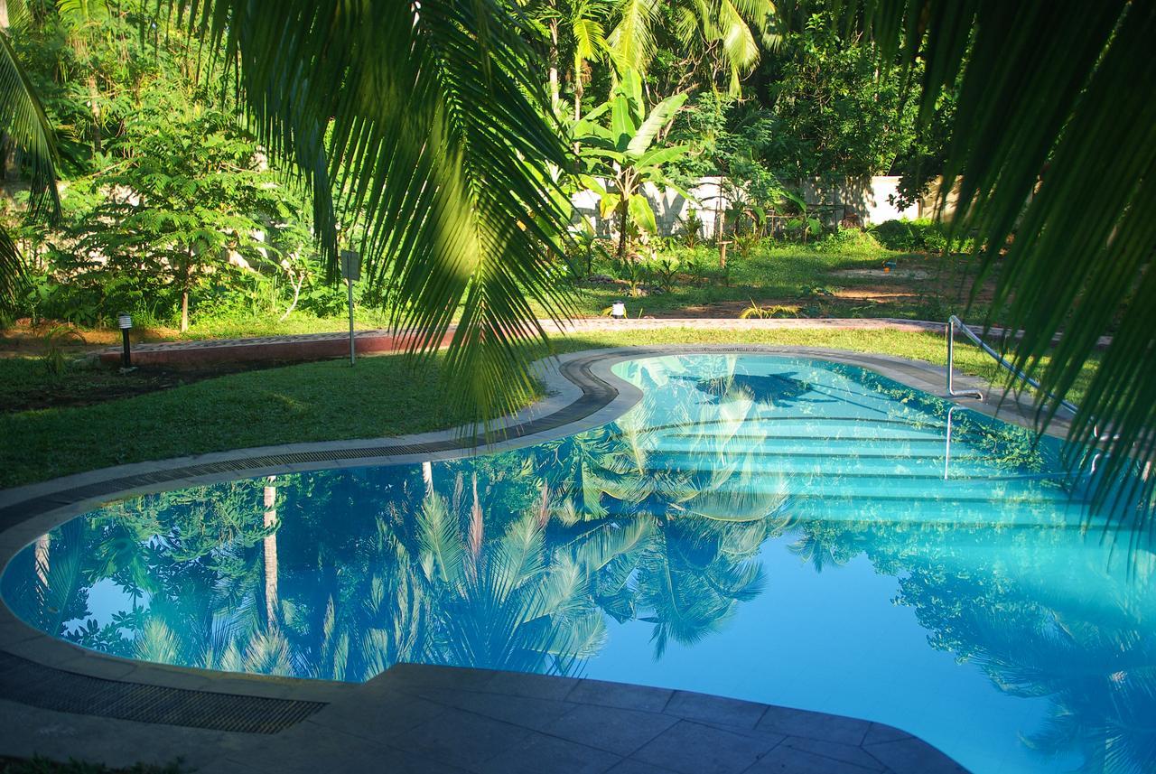King Coconut Lodge Habaraduwa Central Eksteriør bilde