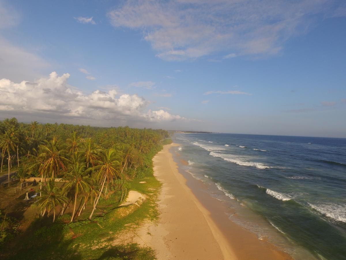 King Coconut Lodge Habaraduwa Central Eksteriør bilde