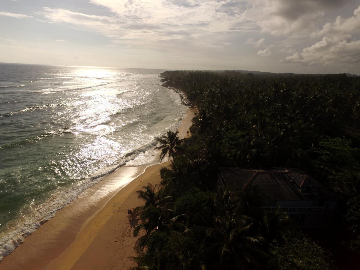 King Coconut Lodge Habaraduwa Central Eksteriør bilde