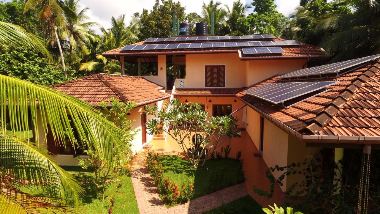 King Coconut Lodge Habaraduwa Central Eksteriør bilde