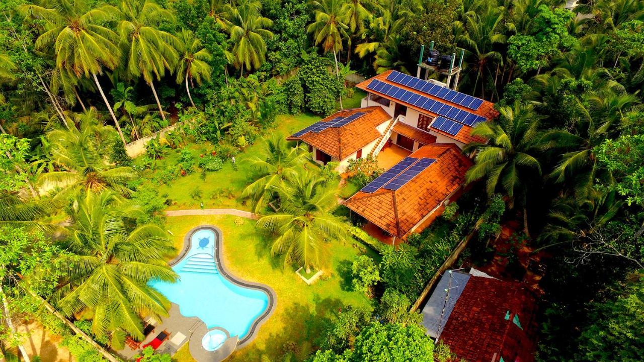 King Coconut Lodge Habaraduwa Central Eksteriør bilde