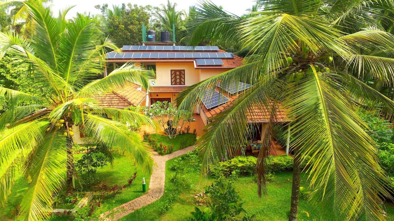 King Coconut Lodge Habaraduwa Central Eksteriør bilde