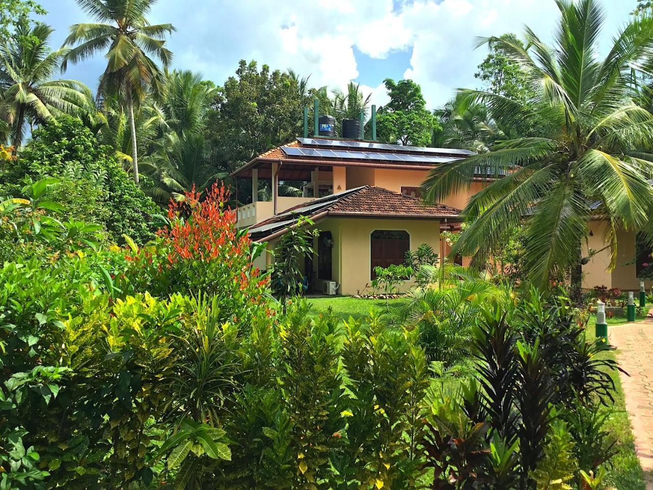 King Coconut Lodge Habaraduwa Central Eksteriør bilde